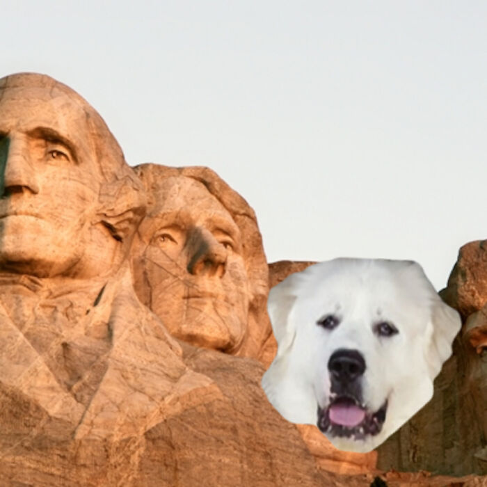 Mount Bearmore
