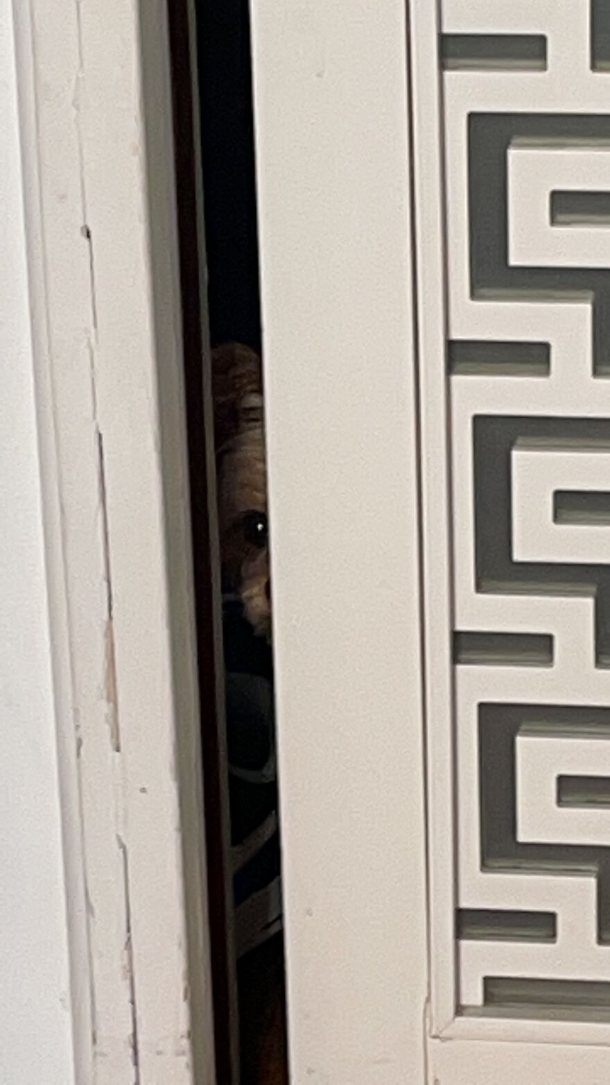 Ted