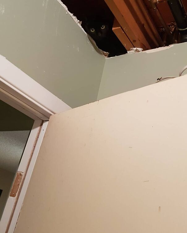 The Ceiling Is Watching