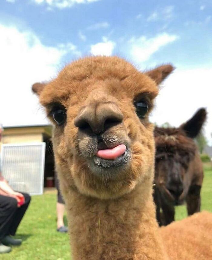 Mmm, That Was Deliciuos