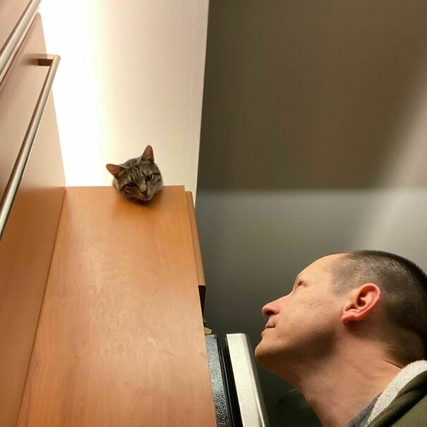 Friday Night Standoff