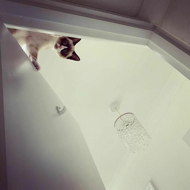 ⁣⁣When Dad Tries To Go To The Toilet In Peace