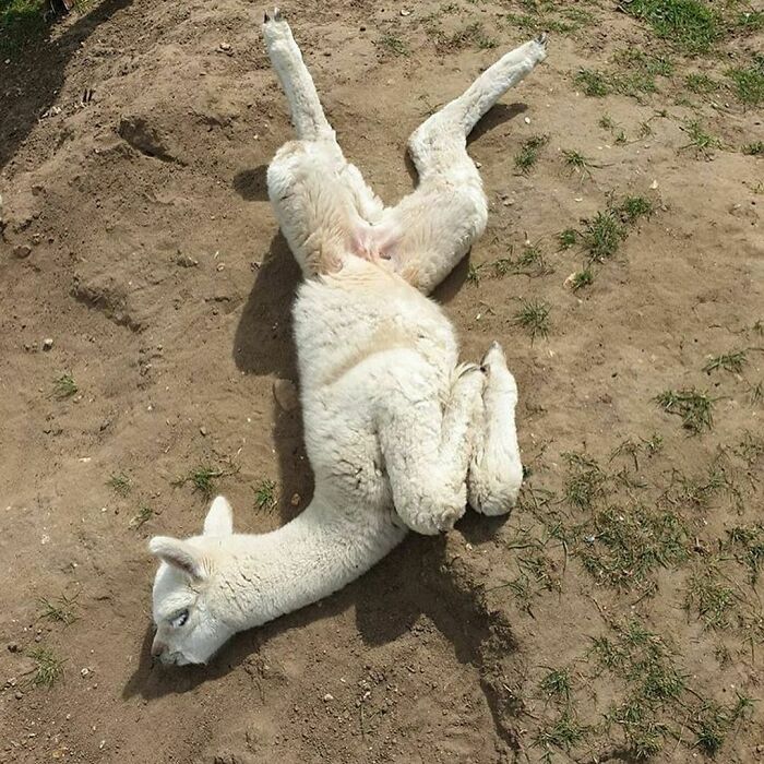 After Getting Off Work On A Monday