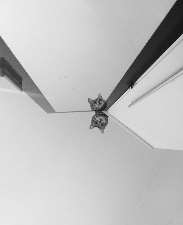 I Can See What You Can Not See