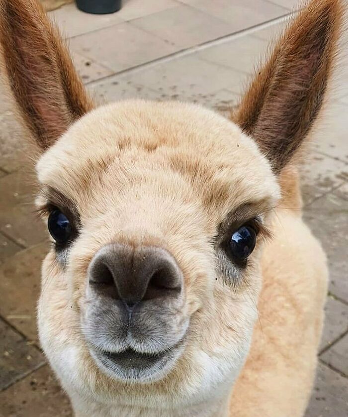 Sometimes Sunday Could Be Fun