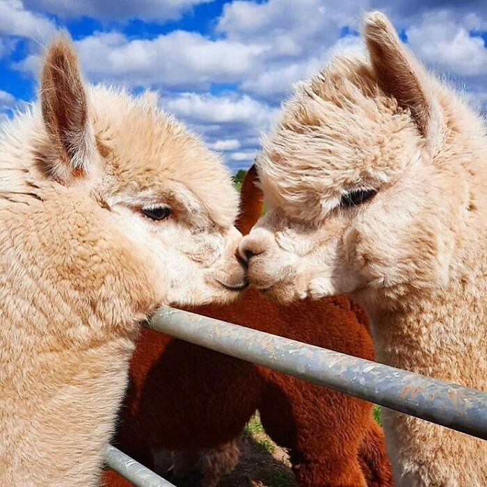 Meet Someone You Want To Be Forever With