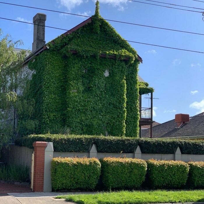 When You Really Need A Haircut After Lockdown