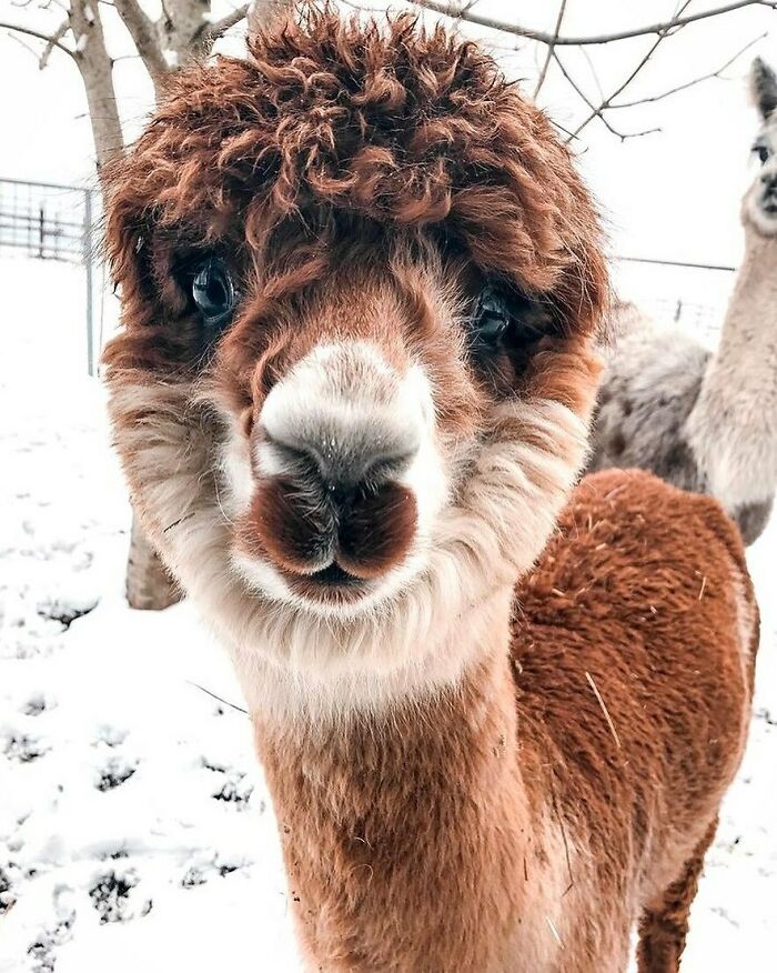 Winter Is Coming But It’s Ok