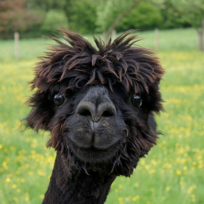 Yap It’s Still Weekend Guys, Enjoy It While You Can