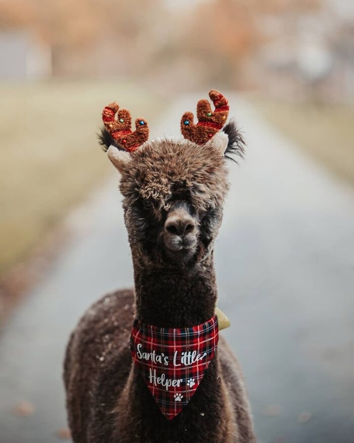 Guess Who’s Coming Tonight Y’all