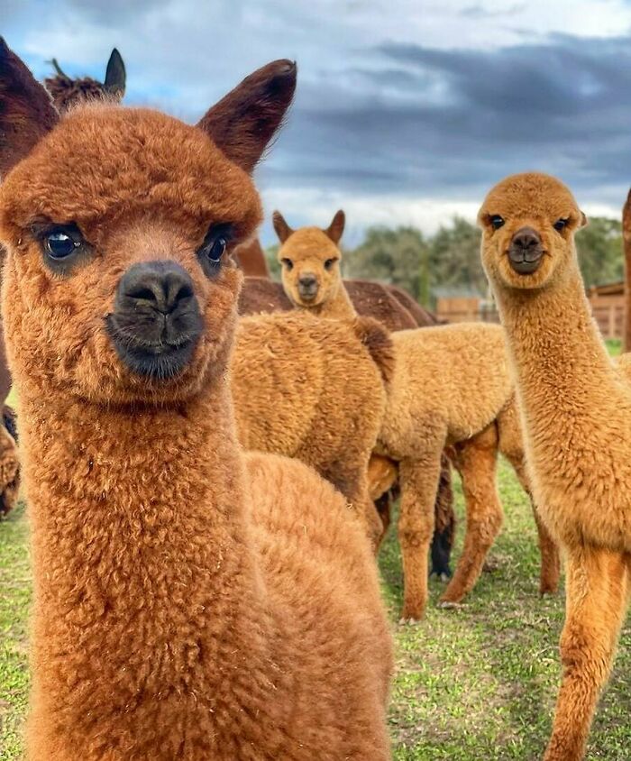 Smile New Year Is Coming Love Ya'all