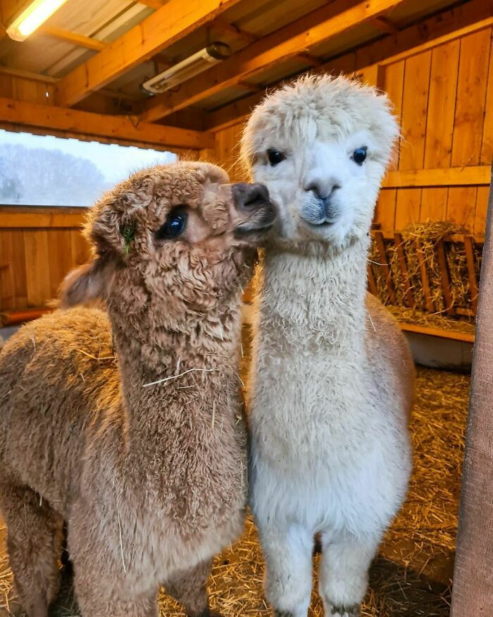 You Got Something On Your Cheek