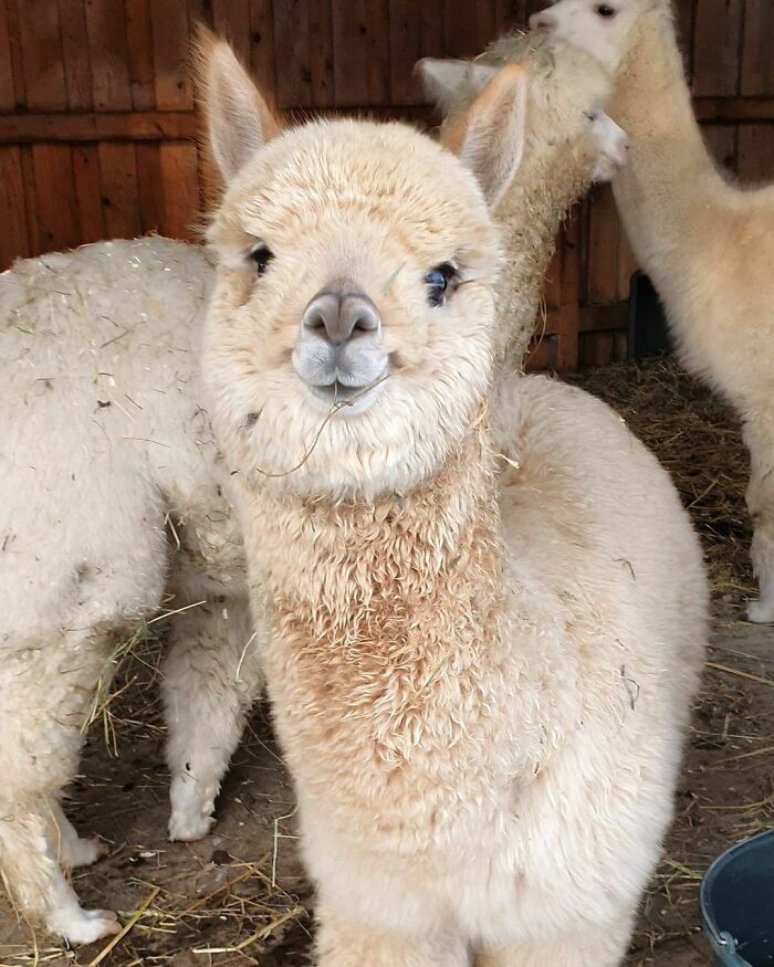 Love You Guys And Smiling, Have An Awesome Day