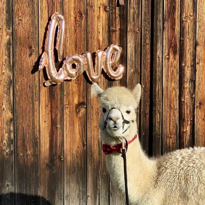 Happy Valentine’s Day