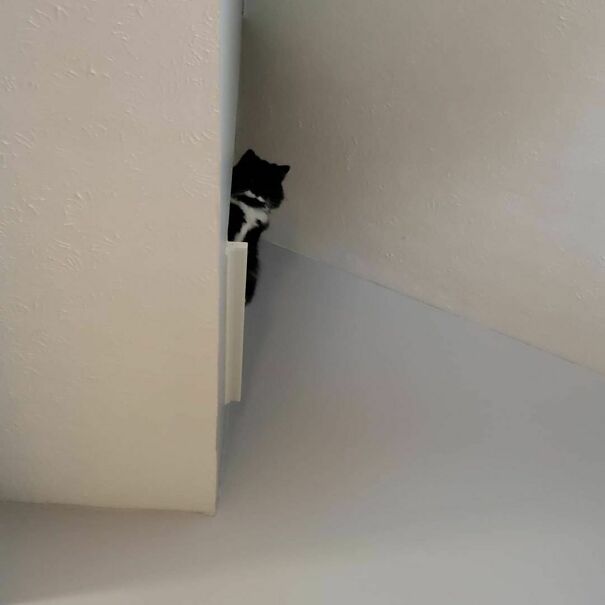 Yesterday, Gaz Fell Off This Balcony