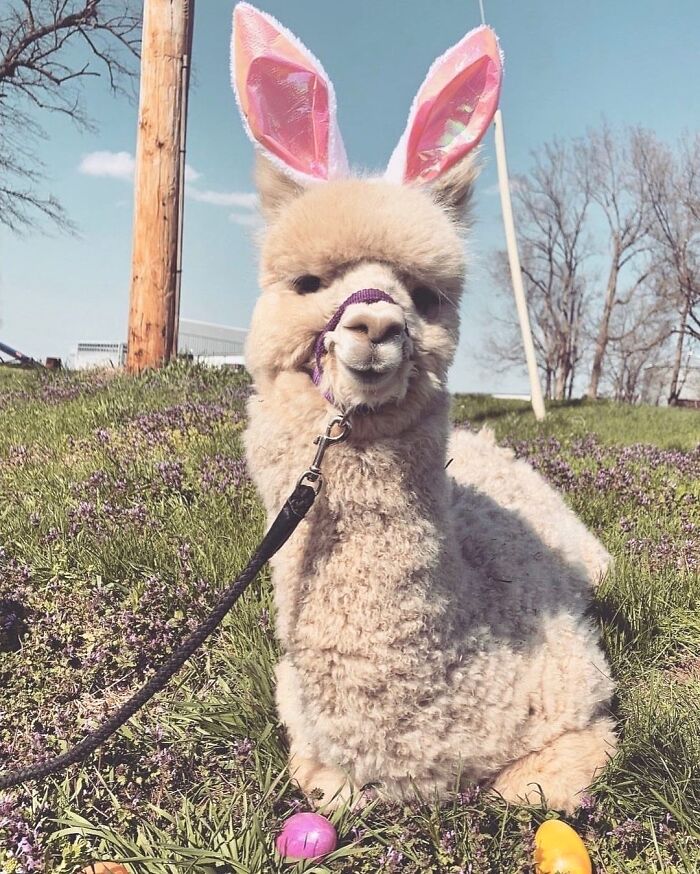 Happy Easter Ya’ll!