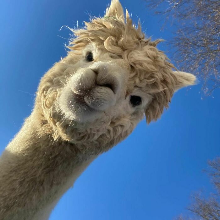 Heeey, Wake Up, Sunshine Is Here And Monday Also