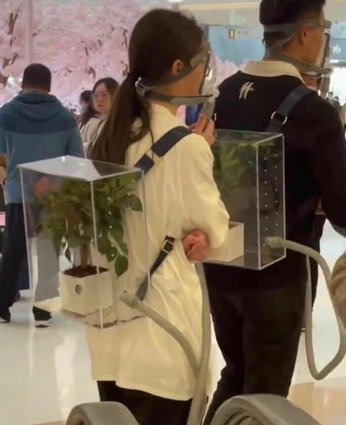 Two people wearing clear backpacks with plants inside and face shields in a public indoor space, weird Instagram account photo