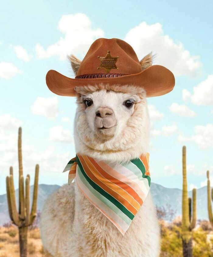 There Is A New Sheriff In Town