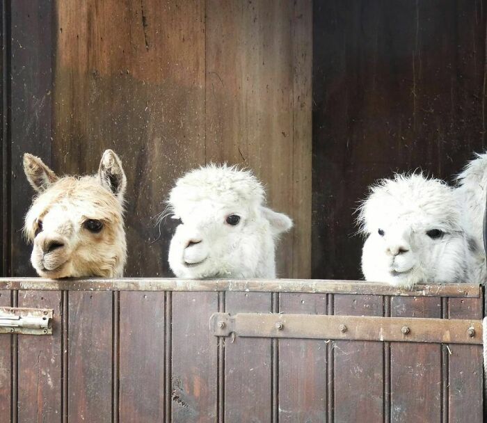 When It's Dinner Time