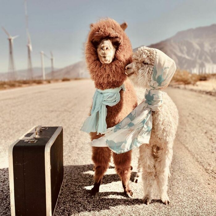 Dreaming Of A Vacation