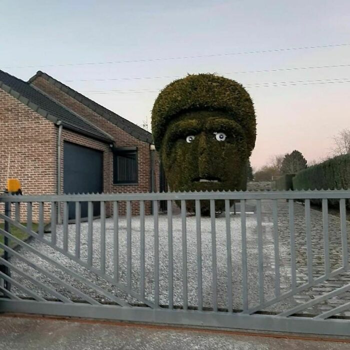 Cuando un amigo no te invita a su casa y en realidad es un alivio