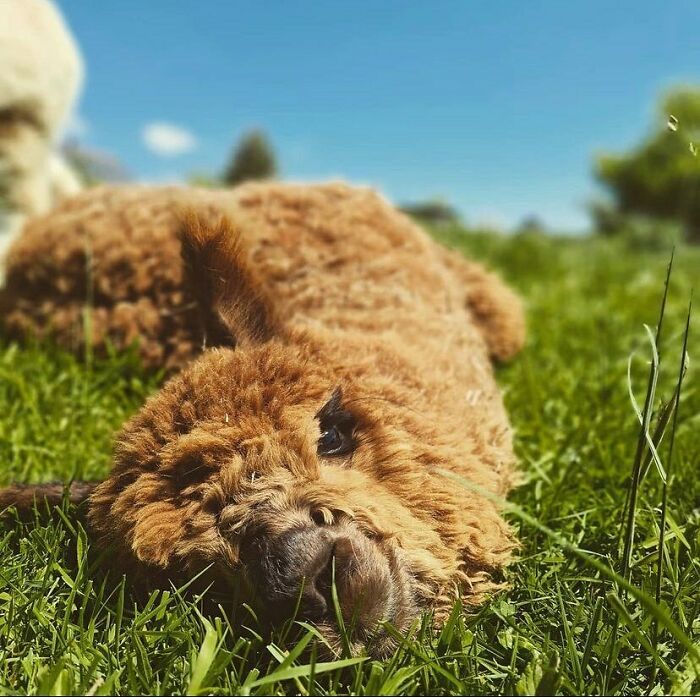 He’s Just Enjoying Life To The Fullest