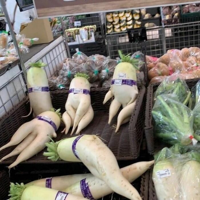 Unusually shaped radishes resembling human figures displayed in a grocery store for the weirdest Instagram account.