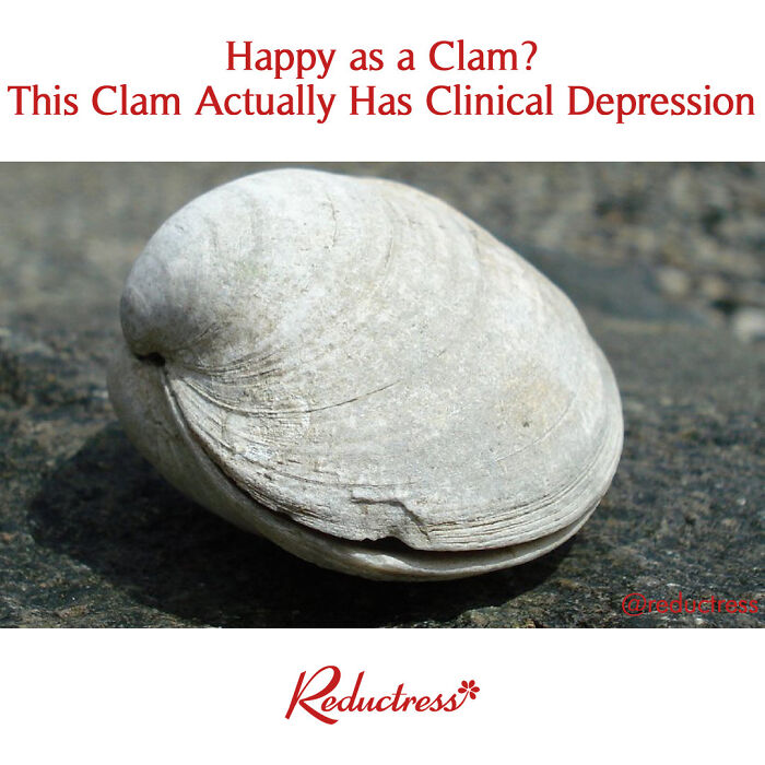 Funny-Fake-Headlines-Reductress