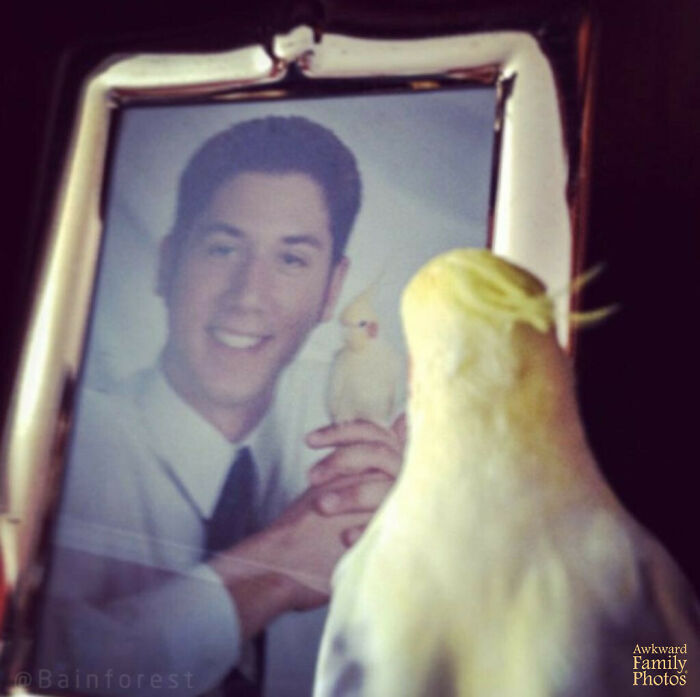 Me hice la foto del último año de 2002 con mi pájaro, Jeff. Apareció en el anuario. Diez años después, le pillé reflexionando sobre nuestra larga historia. El sentimentalismo en su forma más auténtica