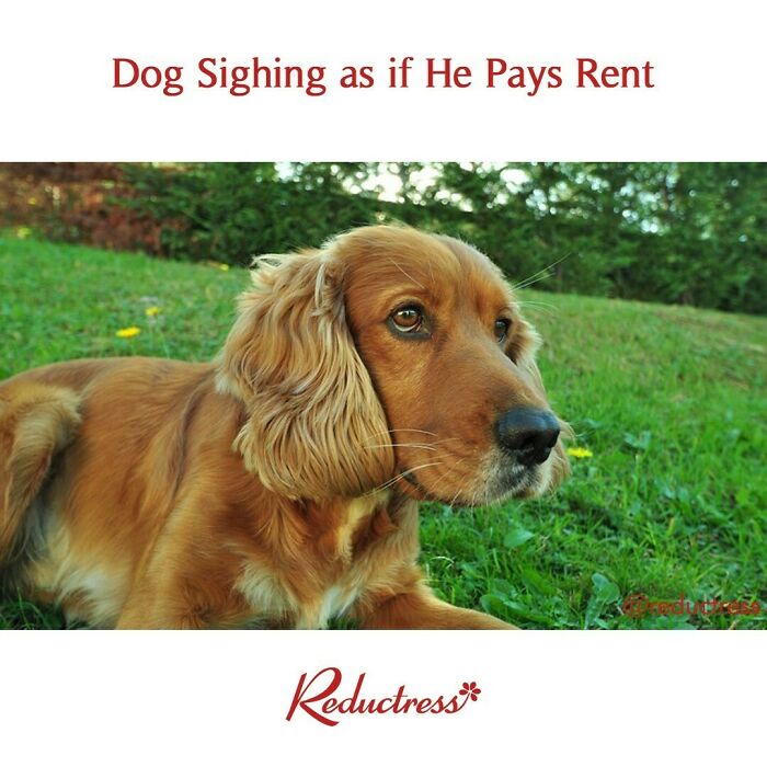 Funny-Fake-Headlines-Reductress