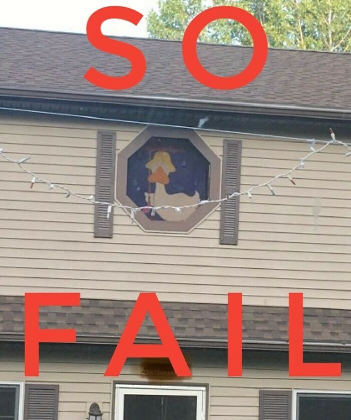 There No Ducking Responsibility For This One. This #shuddersunday Is So Fowl That When I Saw This Picture I Was Literally Quacking Up!
there Was Clearly Serious Planning Involved Here, No One Was Just Winging It. Enough Duck Puns, Please Don’t Do This Ever Again. 😉
#duckshutter #ducks #fowl #shutters