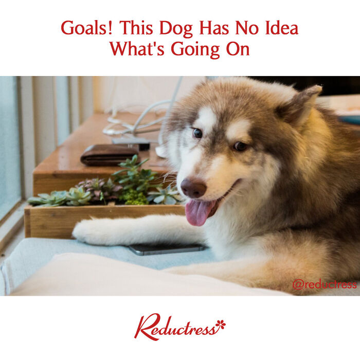 Funny-Fake-Headlines-Reductress