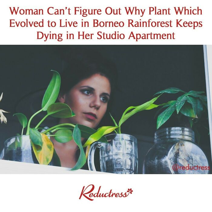 Funny-Fake-Headlines-Reductress