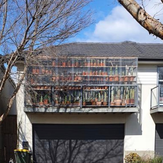 A Prickly Situation Waiting To Happen