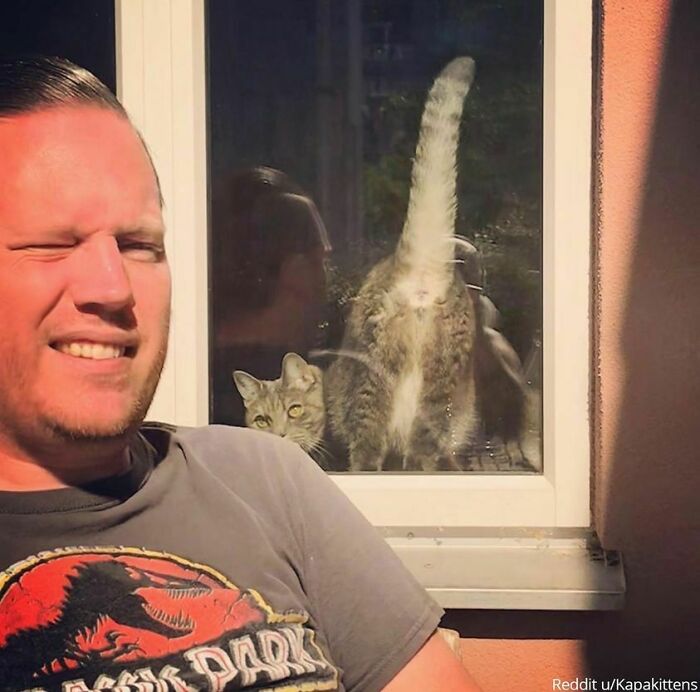 Sólo quería una bonita foto de vacaciones