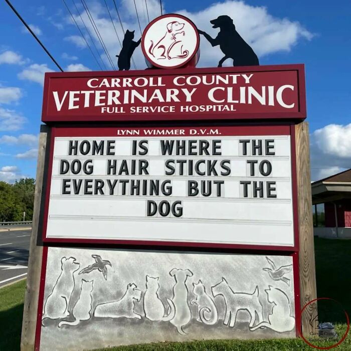 #funnyvetsigns #funnysigns #ccvc