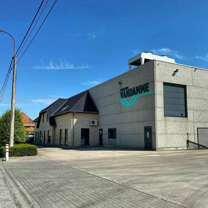 Party In The Front Business In The Back