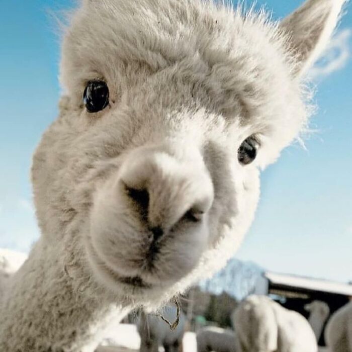 Have You Got Any Games On Your Phone?