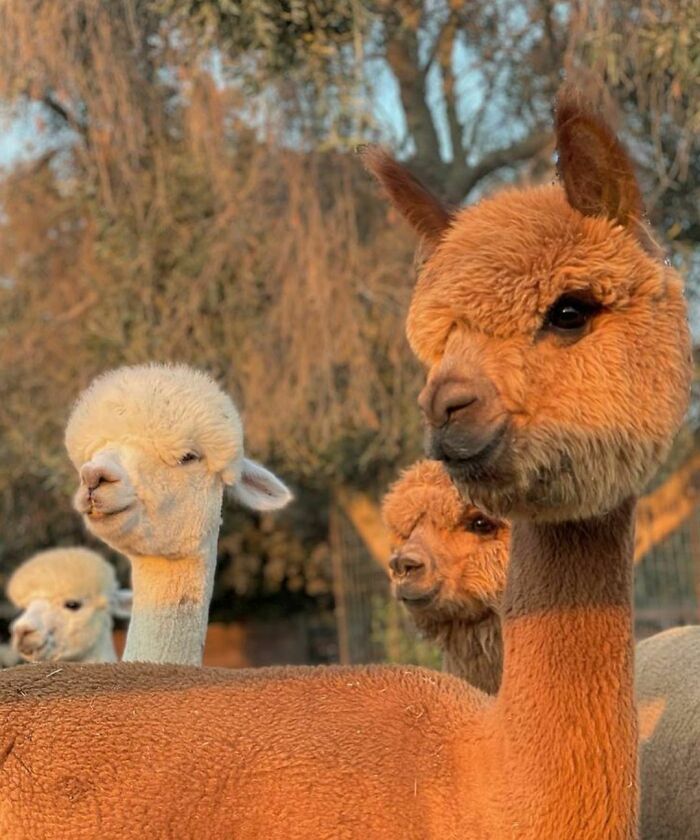 Looking Back At The Weekend Trying To Figure Out How It Went So Quickly