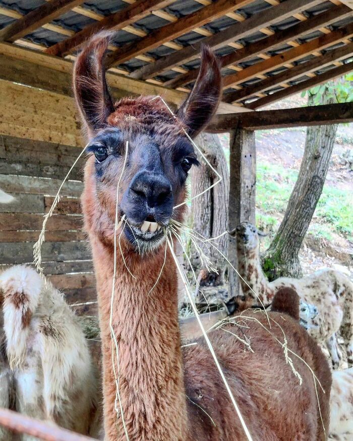 Well This Got A Little Bit Messy