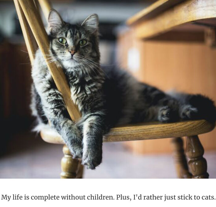 This Was Actually From A Bored Panda Post!