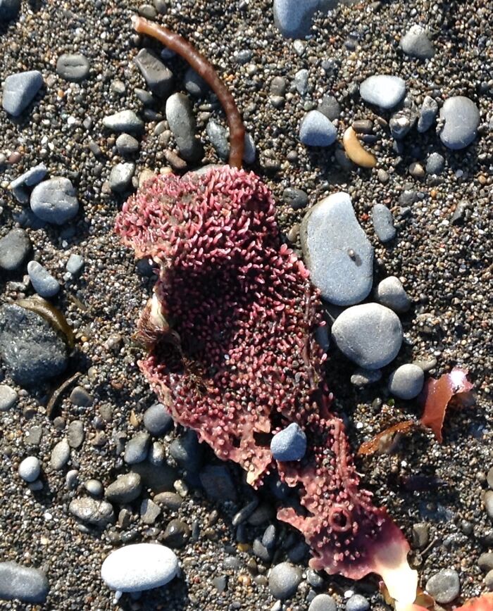 On The Beach Revisited