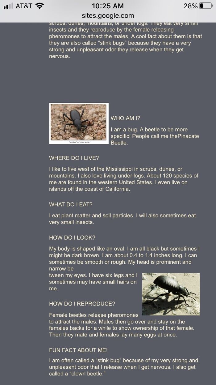 A Freakin Article About Stink Bugs…