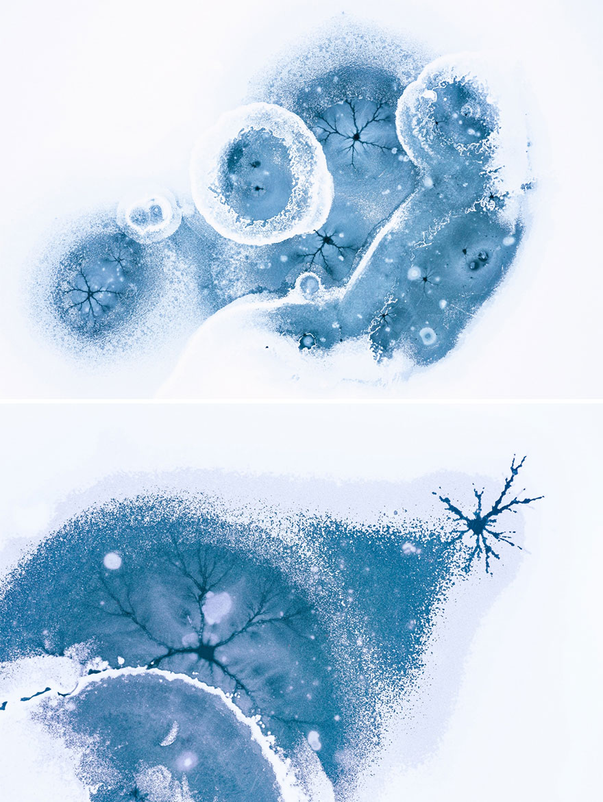 Ice Anatomy By Gheorghe Popa (Highly Commended In Series Category)