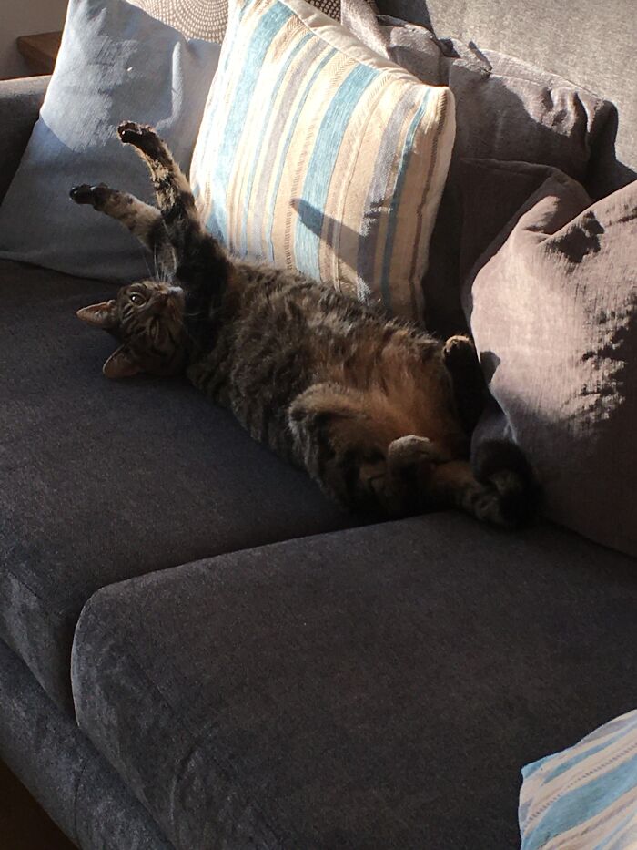 I Need All This Space On The Sunny Side Of The Settee