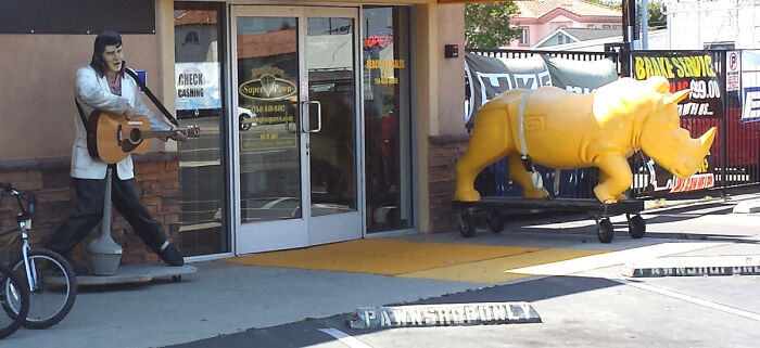 Elvis Performs With A Yellow Rhinoceros Every Morning At 10am