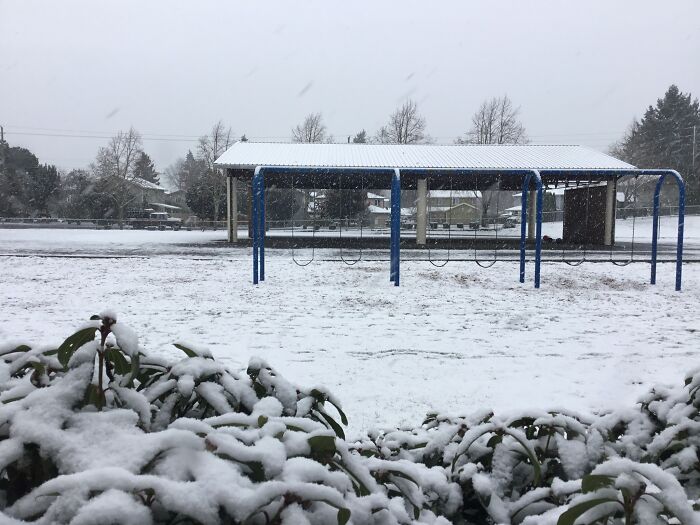 A Photo I Took In 4th Grade