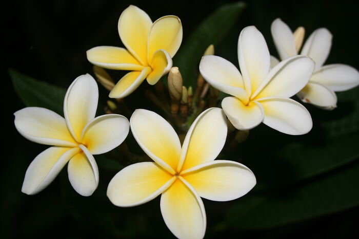 Sorry I Know I Have A Few Images On This Post But I Really Love Photography