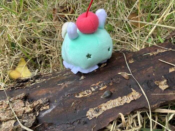 This Is Probably The Weirdest, Its The Weirdest Thing I Own Apparentely Its A Melon Soda Float Sea Slug I Love Japanese Things Theyre So Random 🤣